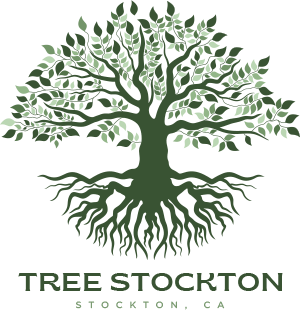 Tree Stockton | Defender of Our Neighborhood Trees